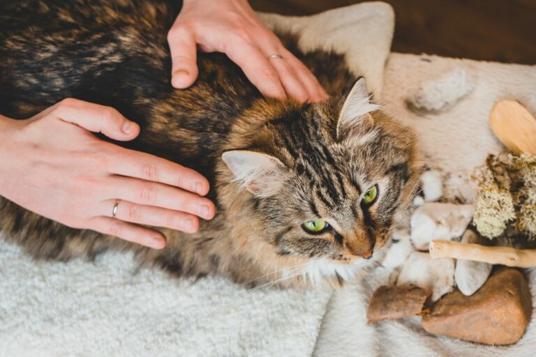 AdobeStock_347593869-768×512 AdobeStock_347593869-768×512