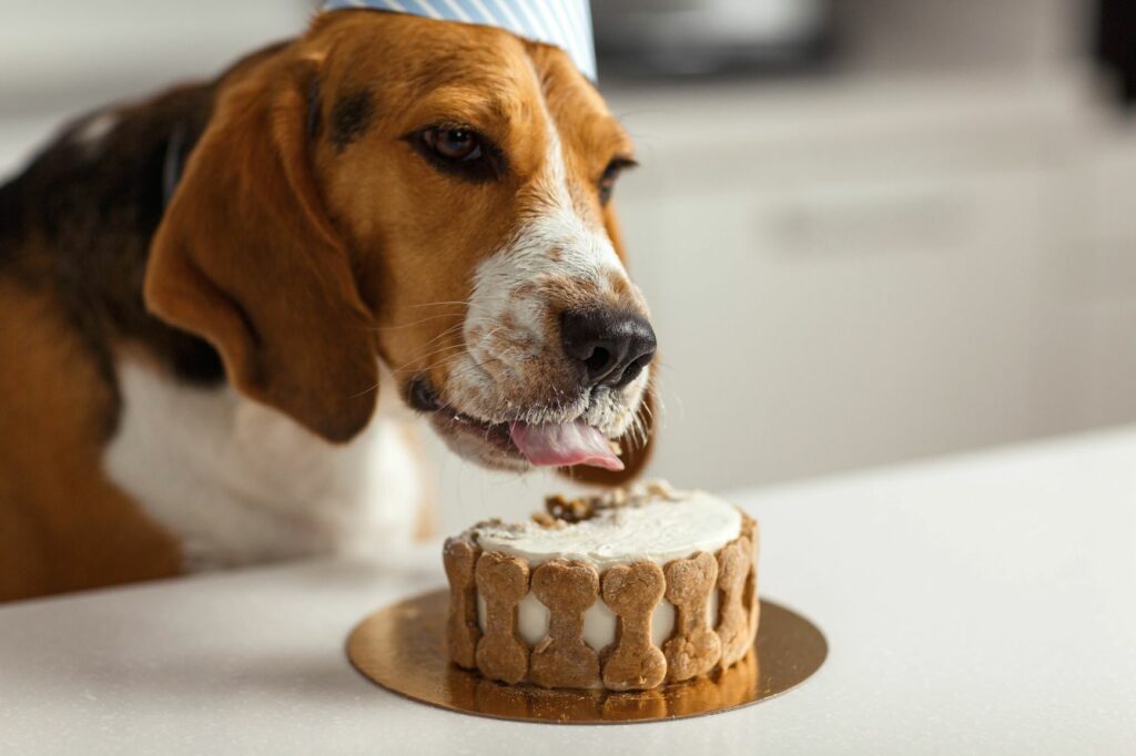 AdobeStock_402519717-1024×682
