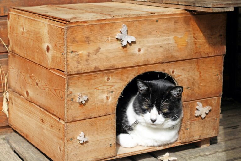 Casetta di legno a 2 piani per gatti con grande porta, Rifugio