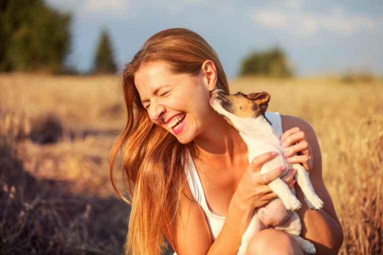 Young woman holding Jack Russell terrier puppy on her hand, trying to pose, but the dog is licking and chewing her ear and hair. perchè i cani leccano
