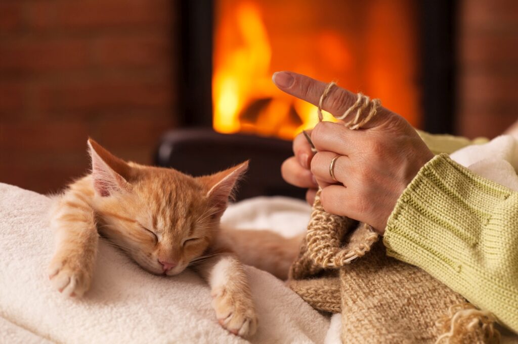 Woman knit in front of the fireplace with her exhausted kitten s