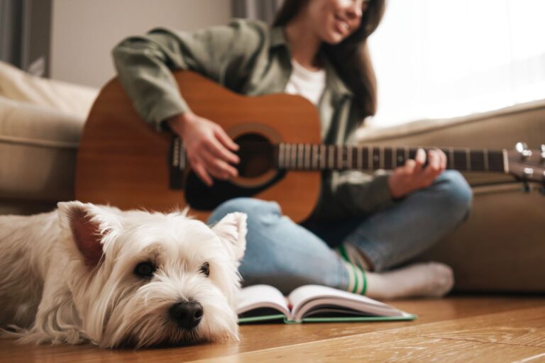 Musica rilassante per cani: cosa li calma e li tranquillizza | zooplus Magazine