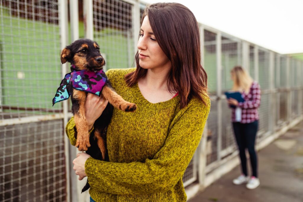 cane adottato da una donna in canile