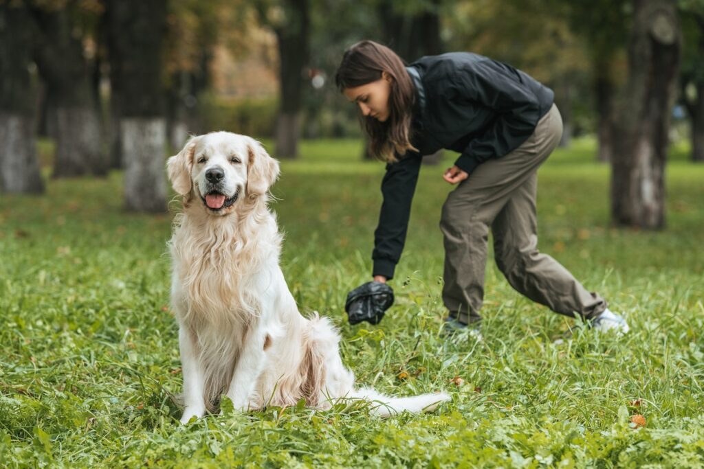 donna raccoglie feci del golden retriever