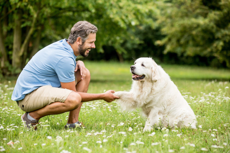 educatore con golden retriever