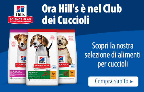 IT_Hills_puppyClub