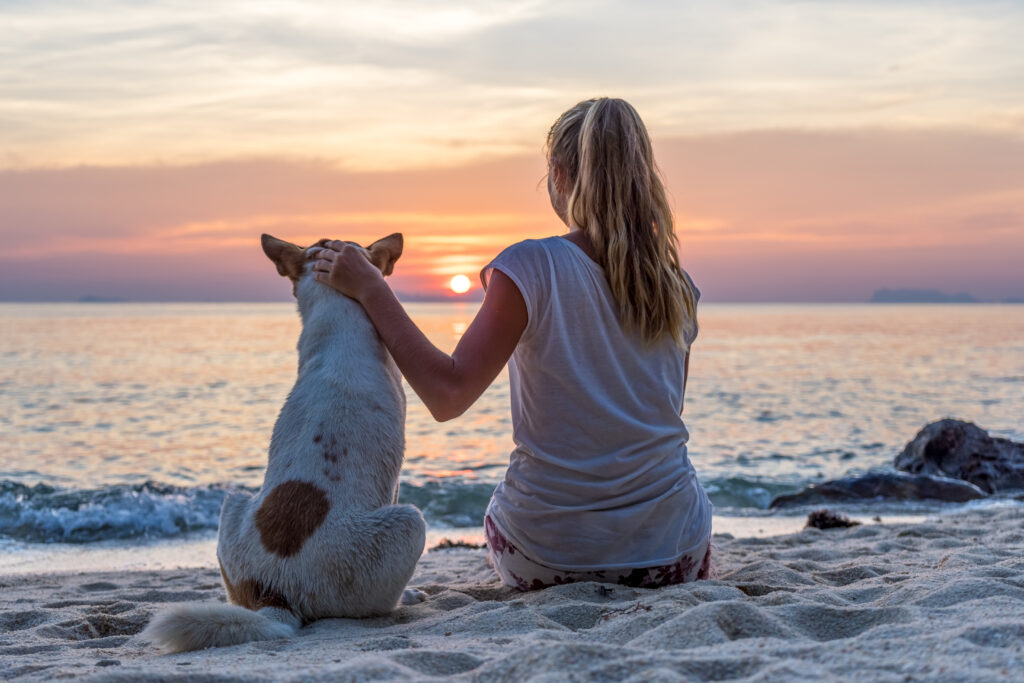 cane in spiaggia al tramonto con padrona