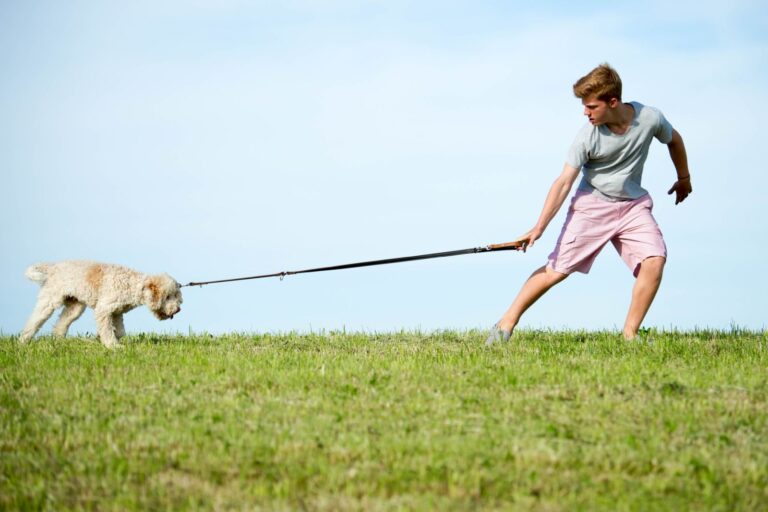 cane non vuole fare passeggiata