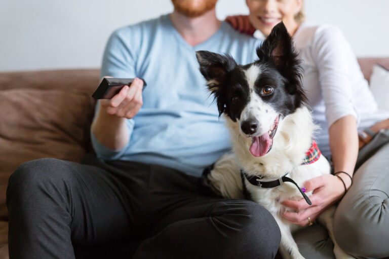 cane guarda tv con i padroni