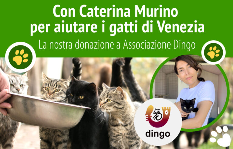 caterina murino e zooplus a venezia per donazione associazione dingo