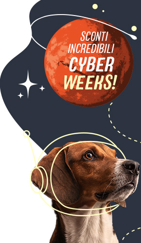 IT_Cyber_Weeks_Left