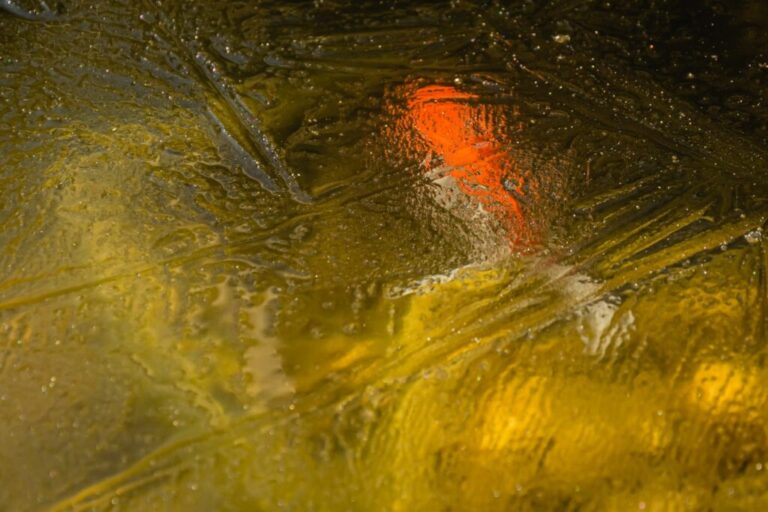 pesce rosso nel lago ghiacciato