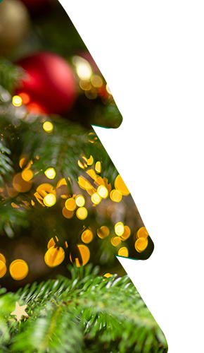 IT_Xmas_2023_Right