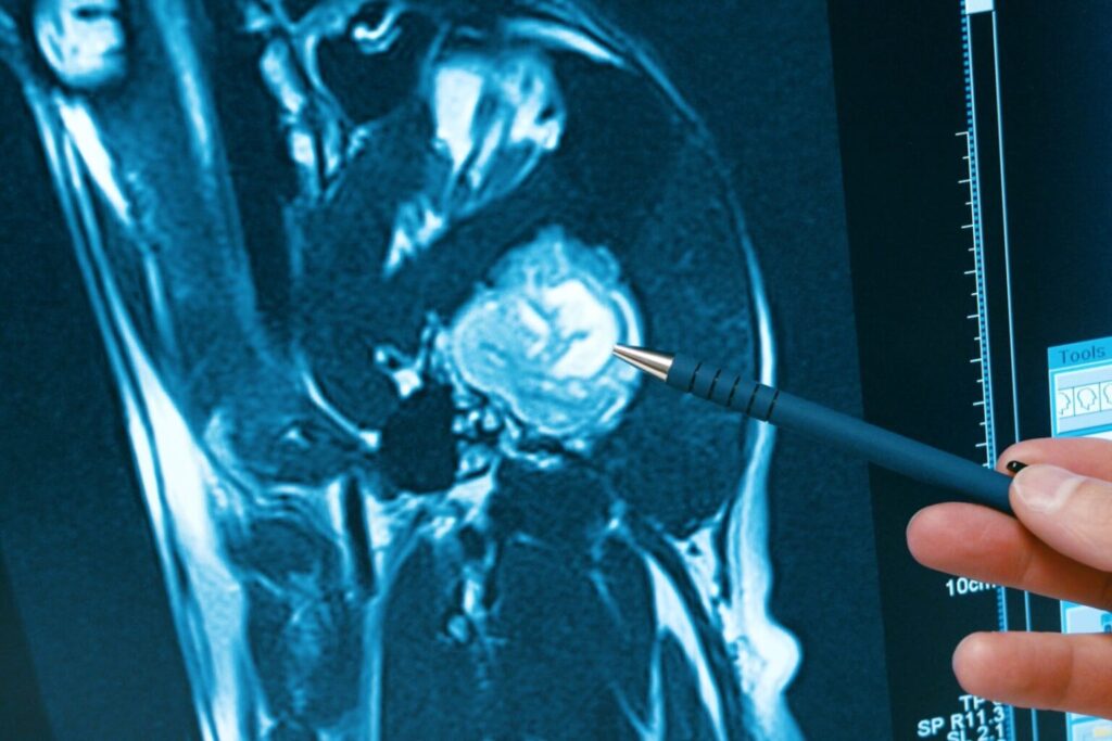 Sindrome vestibolare nel cane diagnosi, sintomi, terapie zooplus