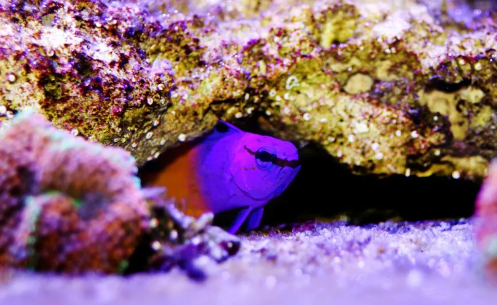 gramma loreto nascosto nella roccia