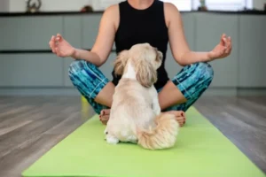 Puppy Yoga: il nuovo trend che non piace agli animalisti