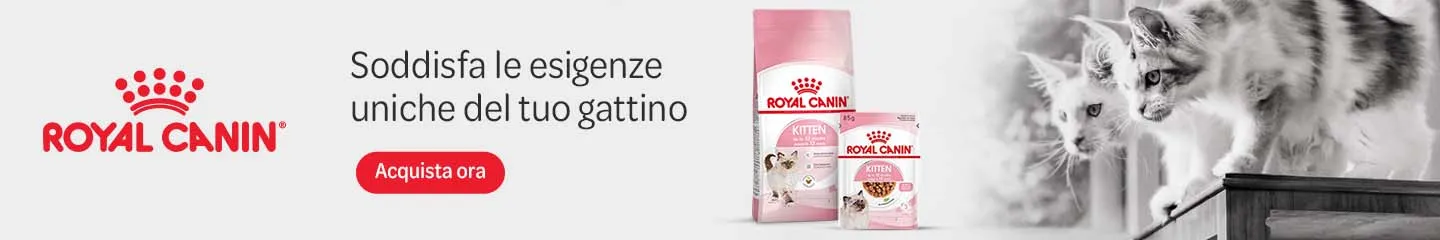 IT_kitten_range_royal_canin_1025