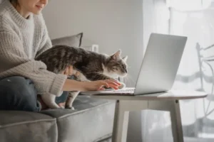 I 6 migliori accessori smart per gatti: un aiuto nella vita di tutti i giorni