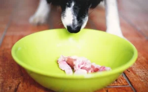 Alimentazione Whole-Prey per cani