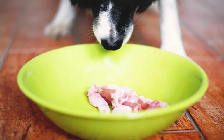 Alimentazione Whole-Prey per cani