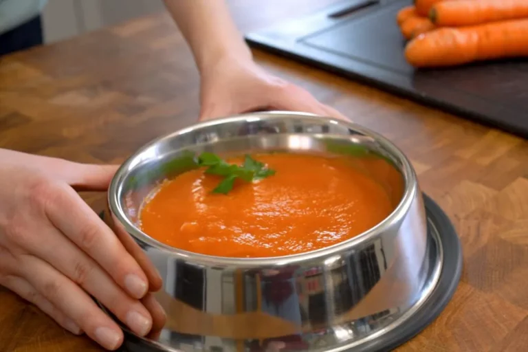 zuppa carote per cane