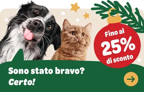 Cane e gatto su uno striscione pubblicitario per una campagna natalizia