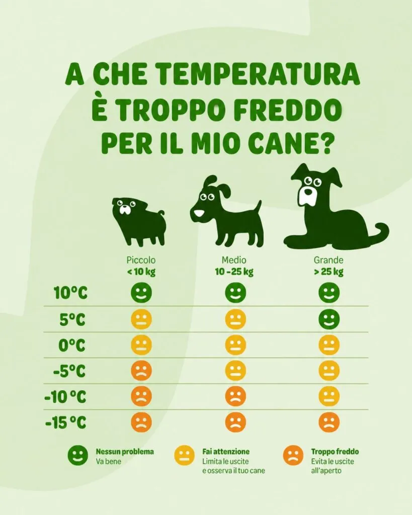 infografica_cane_temperature_fredde